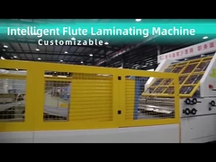 ZGFM avec le bouclier de la CE